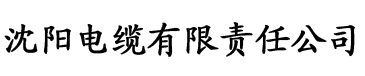 精品一久久香蕉国产欧美综合电缆厂logo